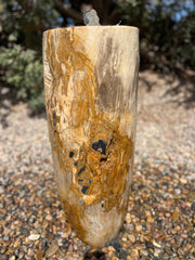 Petrified Wood Infinity Fountain in a landscape setting