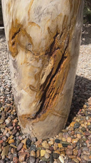 Petrified Wood Infinity Fountain in a landscape setting