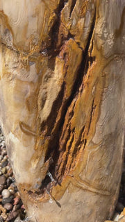 Petrified Wood Infinity Fountain in a landscape setting