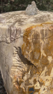 Petrified Wood Infinity Fountain in a landscape setting