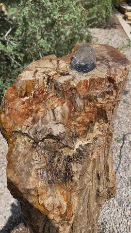 Petrified Wood Fountain from The Rock Star Gallery