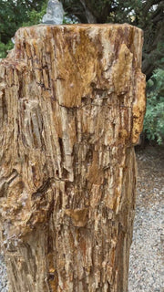 Petrified Wood Fountain from The Rock Star Gallery