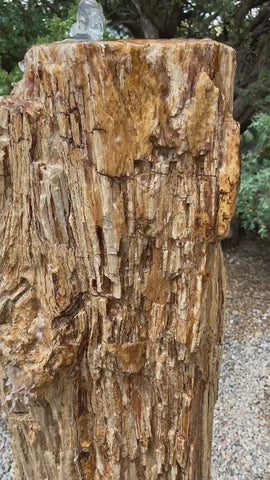 Petrified Wood Fountain from The Rock Star Gallery
