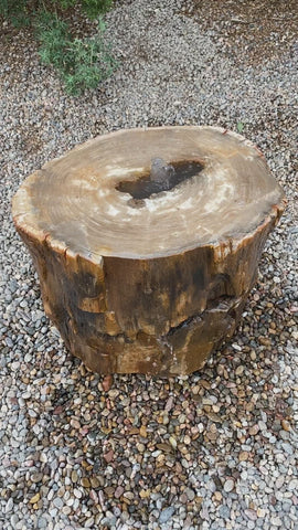 Petrified Wood Stone Fountain by The Rock Star Gallery in courtyard landscape design.