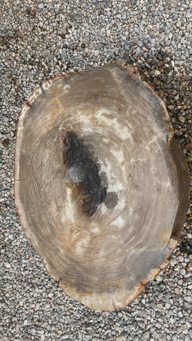 Petrified Wood Stone Fountain by The Rock Star Gallery in courtyard landscape design.