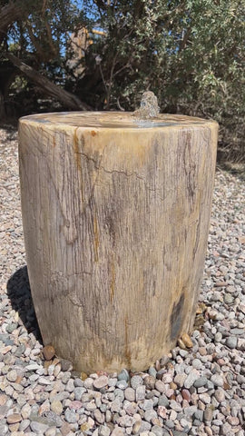 Petrified Wood Stone Fountain by The Rock Star Gallery in courtyard landscape design.