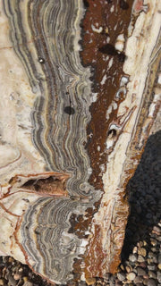 Black Canyon Onyx Fountain with Crazy Lace patterning in a landscape setting