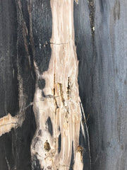 Petrified Wood Fountain 872
