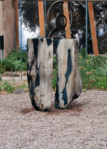 Petrified Wood Fountain 4 SOLD
