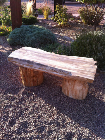 Petrified Wood Bench 3 SOLD