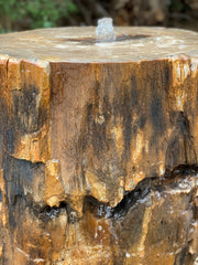 Petrified Wood Stone Fountain by The Rock Star Gallery in courtyard landscape design.
