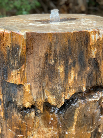 Petrified Wood Stone Fountain by The Rock Star Gallery in courtyard landscape design.