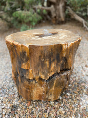 Petrified Wood Stone Fountain by The Rock Star Gallery in courtyard landscape design.
