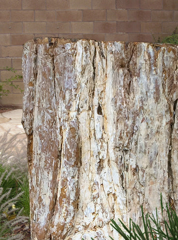 Petrified Wood Stone Fountain by The Rock Star Gallery in courtyard landscape design.
