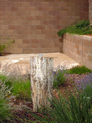Petrified Wood Stone Fountain by The Rock Star Gallery in courtyard landscape design.