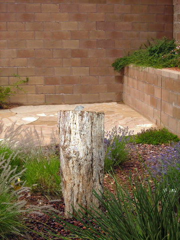 Petrified Wood Stone Fountain by The Rock Star Gallery in courtyard landscape design.