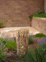 Petrified Wood Stone Fountain by The Rock Star Gallery in courtyard landscape design.