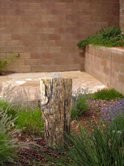 Petrified Wood Stone Fountain by The Rock Star Gallery in courtyard landscape design.