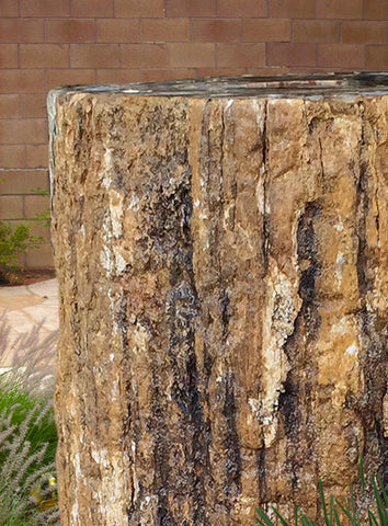 Petrified Wood Stone Fountain by The Rock Star Gallery in courtyard landscape design.