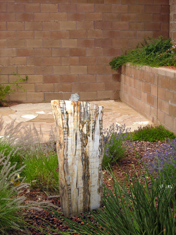 Petrified Wood Stone Fountain by The Rock Star Gallery in courtyard landscape design.