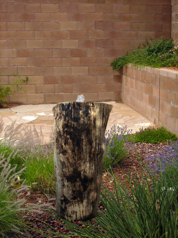 Petrified Wood Stone Fountain by The Rock Star Gallery in courtyard landscape design.