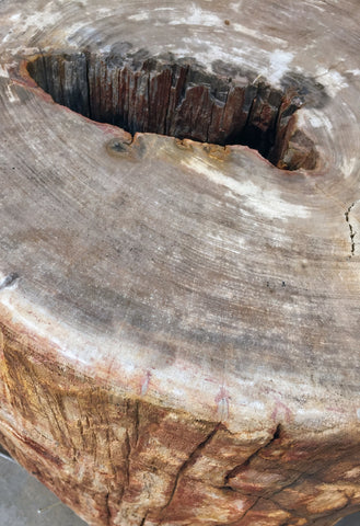 Petrified Wood Stone Fountain by The Rock Star Gallery in courtyard landscape design.