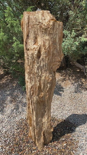 Petrified Wood Fountain from The Rock Star Gallery