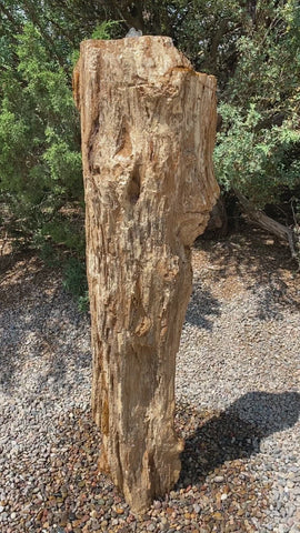 Petrified Wood Fountain from The Rock Star Gallery