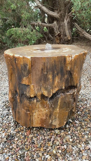 Petrified Wood Stone Fountain by The Rock Star Gallery in courtyard landscape design.