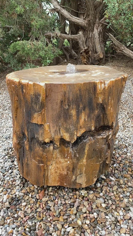 Petrified Wood Stone Fountain by The Rock Star Gallery in courtyard landscape design.